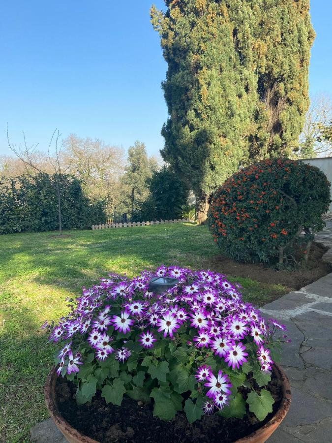 Villa Del Rubbio Рим Екстериор снимка